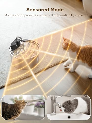 Pets