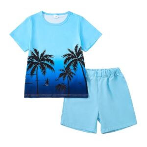 Boy Clothes Kids Boy's Summer Outfits Shorts Sleeve Crewneck T Shirt Tops Tees Shorts Sets Boy's 2 Piece Outfits