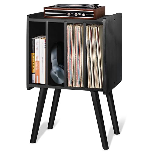 Holds up to 100 Vinyls
