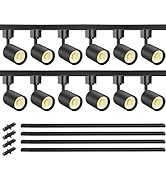 VANoopee 12-Light LED Track Lighting Kit with 13FT H Type Track Lighting Rail, Dimmable LED Track...