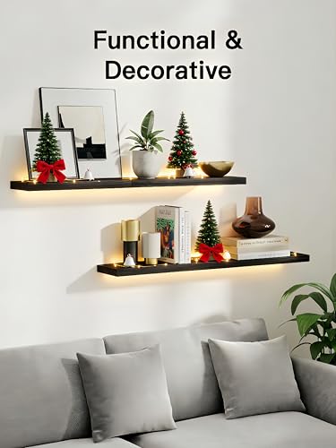 Set of 4