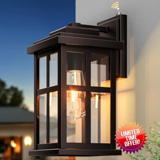 Large Bronze Outdoor Wall Light