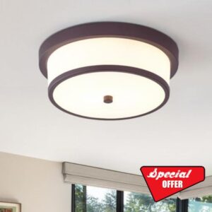 12 inch Flush Mount Ceiling Light