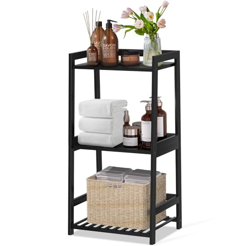 Ladder Shelf for Storage