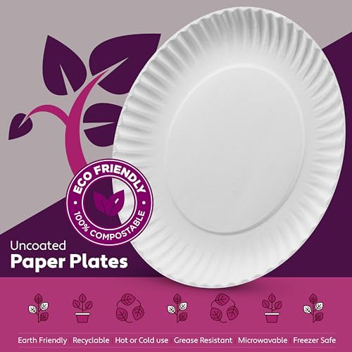White Dinner Plates for BBQ Party
