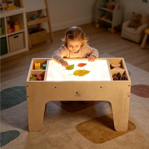Educational Play and Interactive Educational Play