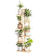 COPREE 2-tier Hanging Plant Stand 2 Pack, Space-Saving Iron Planter Shelves Flower Pot Organizer ...