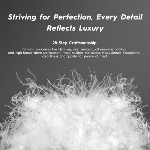 100% Cotton Shell 500 Thread Count 700 Fill Power