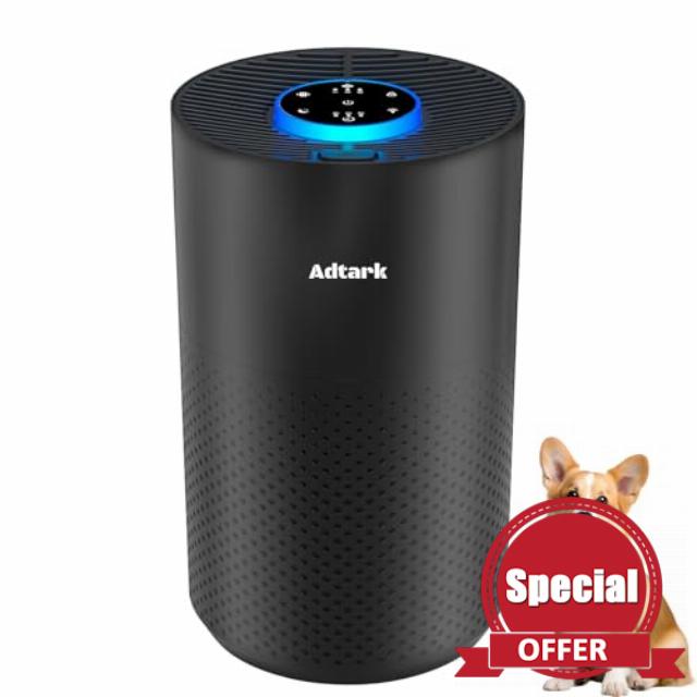 Air Purifiers for Home Bedroom