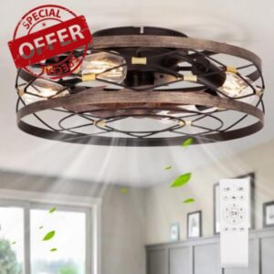 SHLUCE Small Fandelier Caged Ceiling Fan with Light