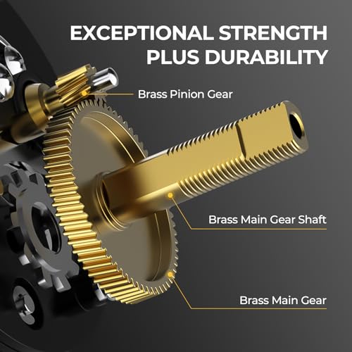 Striper Bass and Inshore Saltwater Fishing Reel