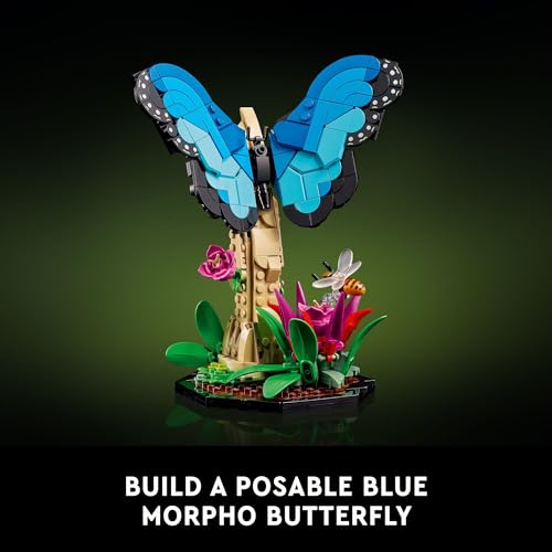with Life-Size Blue Morpho Butterfly