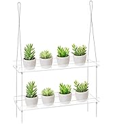 Sumerflos Acrylic Desktop Bookcase, Book Storage Organizer Bookshelves, Clear Mordern Tabletop St...