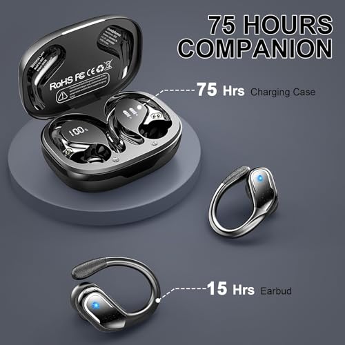 Noise Canceling Over-Ear Buds with Earhooks