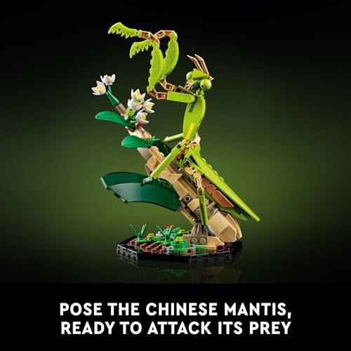 Bug Building Set and Nature Décor