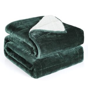 Twin Size 12 lbs Weighted Blankets