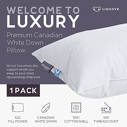 500 Thread Count Cotton Shell
