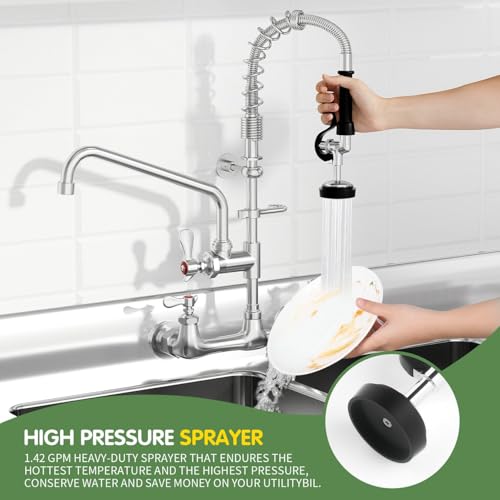 Wall Mounted Kitchen Sink Faucet for Industrial and Restaurant Sinks.