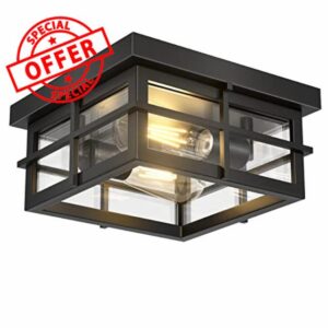 Asnxcju Modern Outdoor Ceiling Light Fixtures