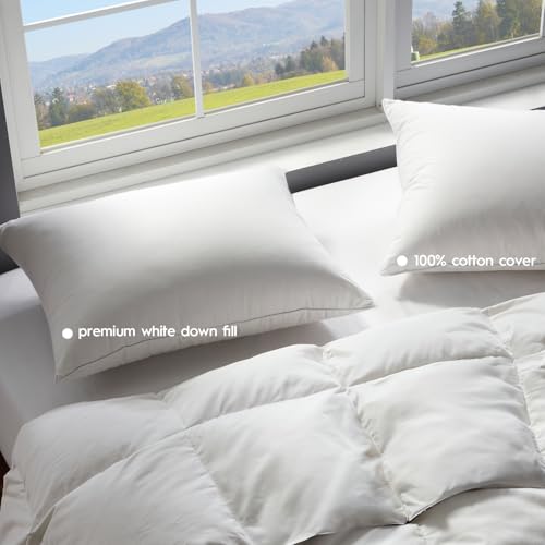 Soft Hotel Collection Down Feather Pillow 20" x 26" 1 Pack