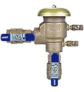 Febco 765EBV Backflow Preventer Pressure Vacuum Breaker with Quarter Turn Shutoff, 1 Inch