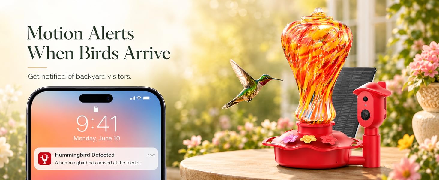 Smart Glass Hummingbird Feeder with Camera