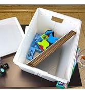 Flipside Products Blue Plastic Storage Postal Tote - 4 Pack
