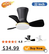 ceiling fan