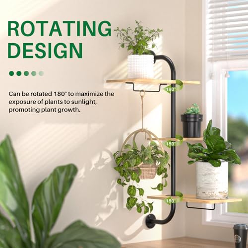 Indoor Metal Wall Plant Holde