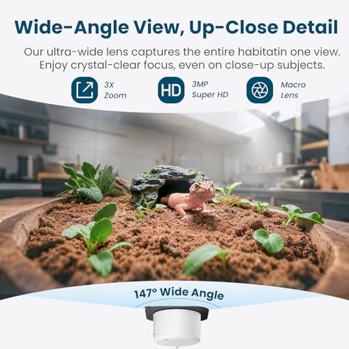 2.4G/5GHz WiFi