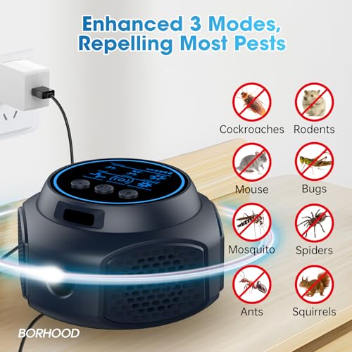 Pest Control for Rodent