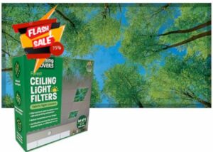 Teacher Created Resources Forest Calming Covers Ceiling Light Filters (TCR20145)