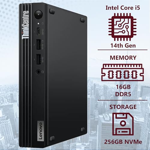 256GB NVMe SSD