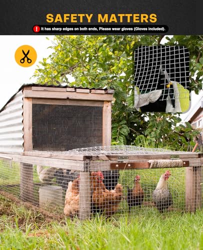 Rabbit Cages