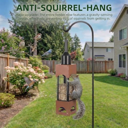 Heavy Duty Chew Proof Tube Feeder for Cardinal Finch Chickadee
