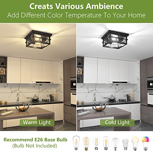 2-Light Black Flush Mount Light Fixtures with Clear Glass Shade
