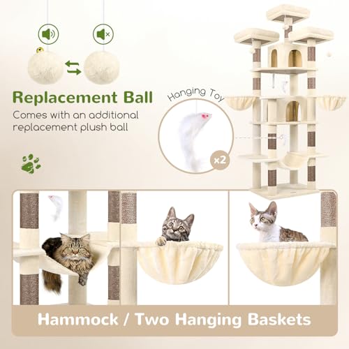 2 Hanging Basket