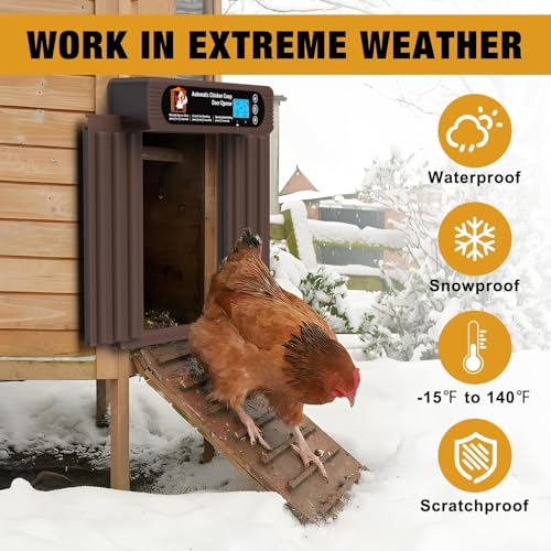 Solar Chiken Coop Door with Remote Control (50-100M)