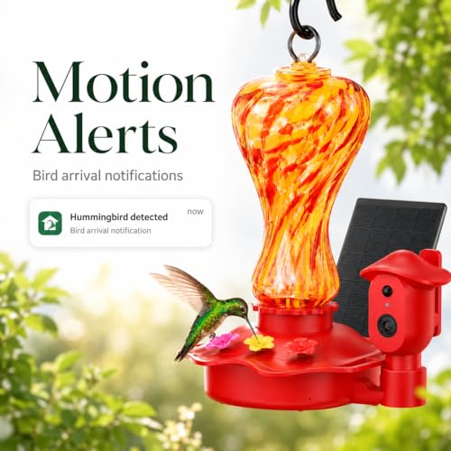 AI Bird ID