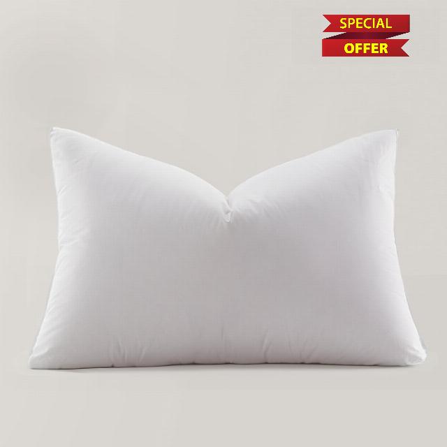 Globon Ultra Soft Down Pillow Standard Size