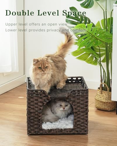 Large Cat Houses