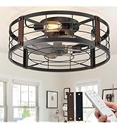 Passky 20" Farmhouse Flush Mount Ceiling Fans with Lights and Remote, Industrial Black Caged Low ...