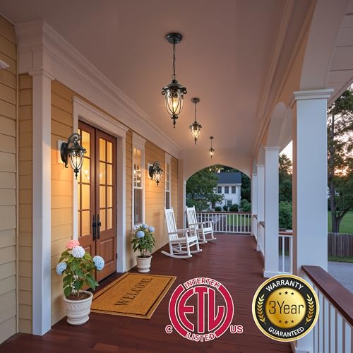 Porch Ceiling Light for Garden