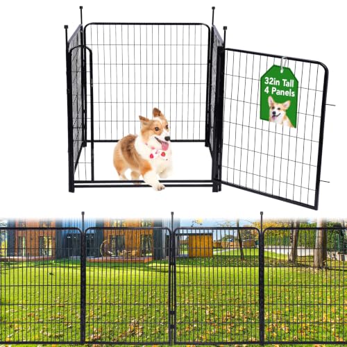 Wide Gate Low Threshold Fence for Garden