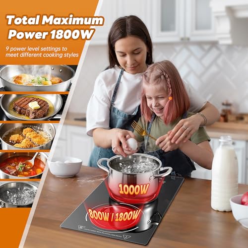 110V Plug in Ceramic Cooktop