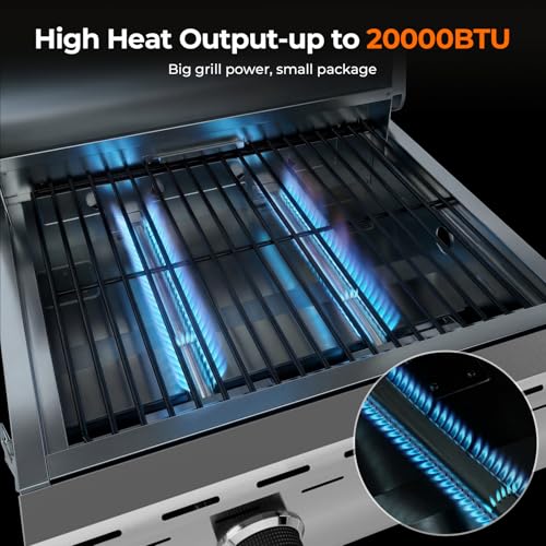 2-Burner Propane Grill with Foldable Legs