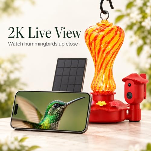 2.4GHz WiFi Only