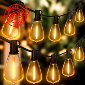 Ollny Outdoor String Lights 120FT with 60+2 Spare ST38 Vintage Bulbs