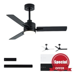 LANMEL 42 Inch Metal Ceiling Fan with Light
