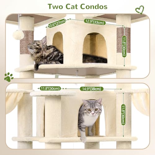3 Perches